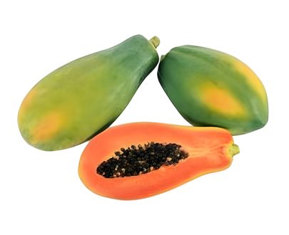 Onesh Agri Papaya Tanuining 01 F1