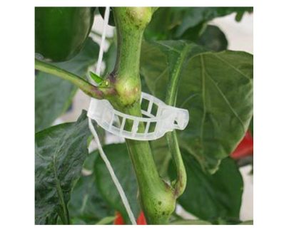 Tomato clips and twine
