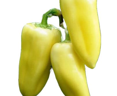 Capsicum - Neveska